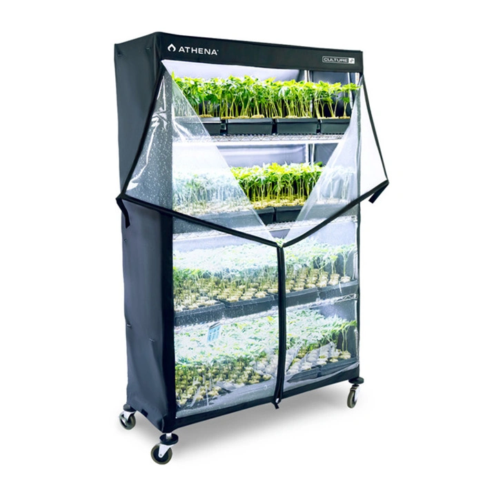 Growbox Athena VPDOME 183x122x41cm