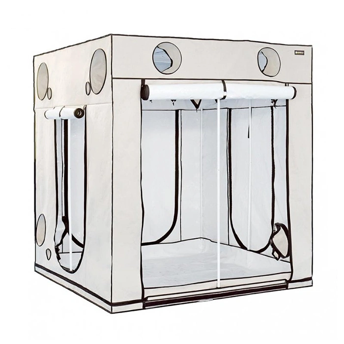 HOMEbox Ambient Q200+ 200x200x220cm