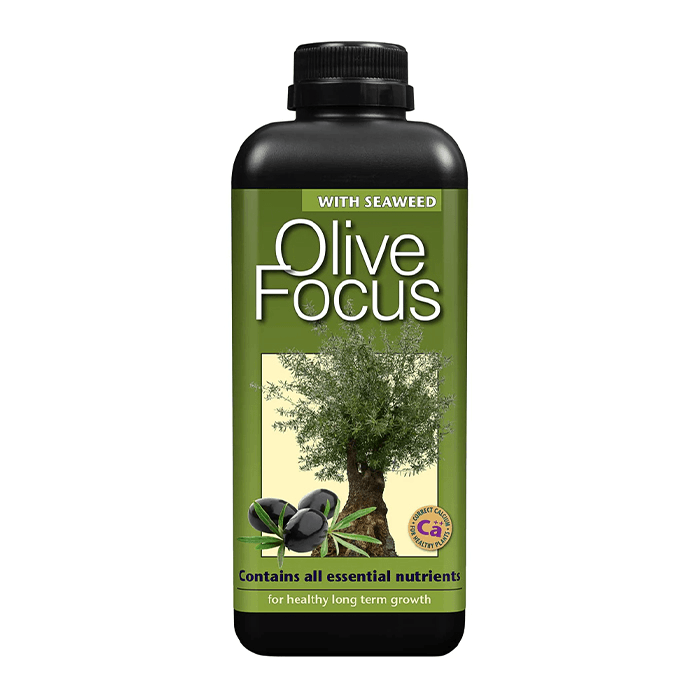 OLIVE FOCUS 1L - ѓубриво за маслинки