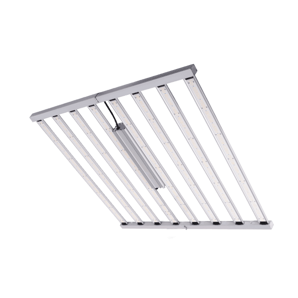 SPIDER KING 1000W LED