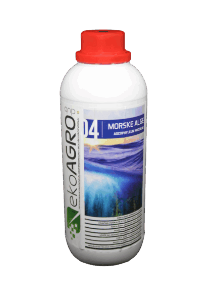 МОРСКИ АЛГИ ASCOPHYLLUM NODOSUM 1L - стимулатор за раст