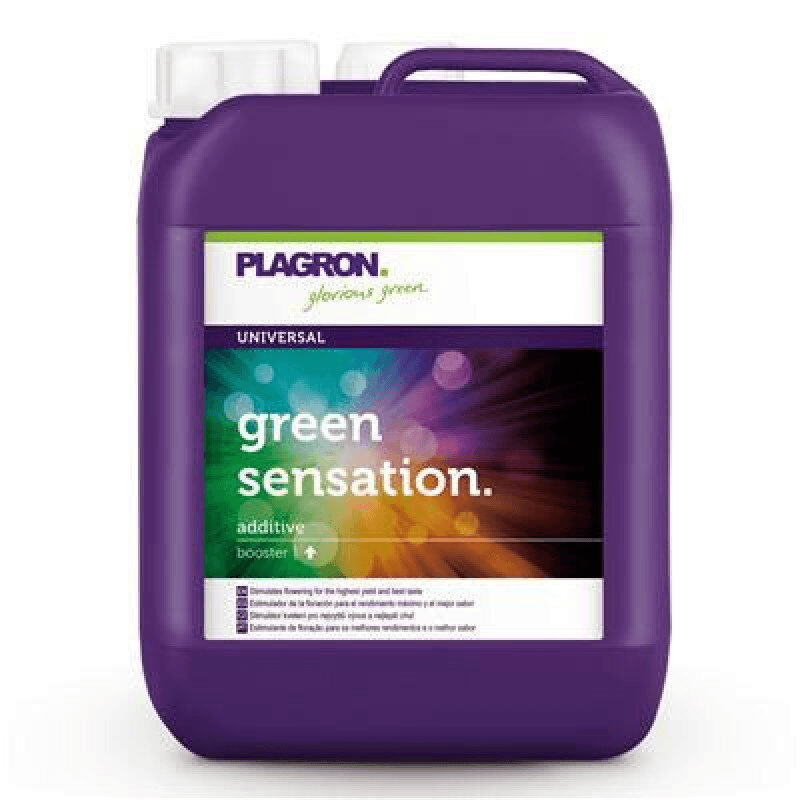 PLAGRON GREEN SENSATION 5L - стимулатор