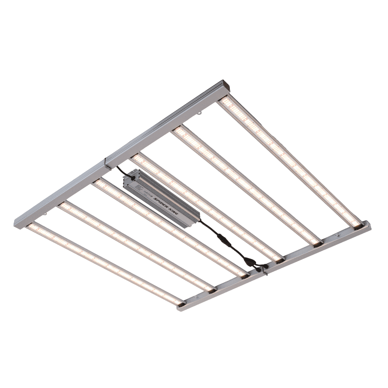 SPIDER KING 720W LED
