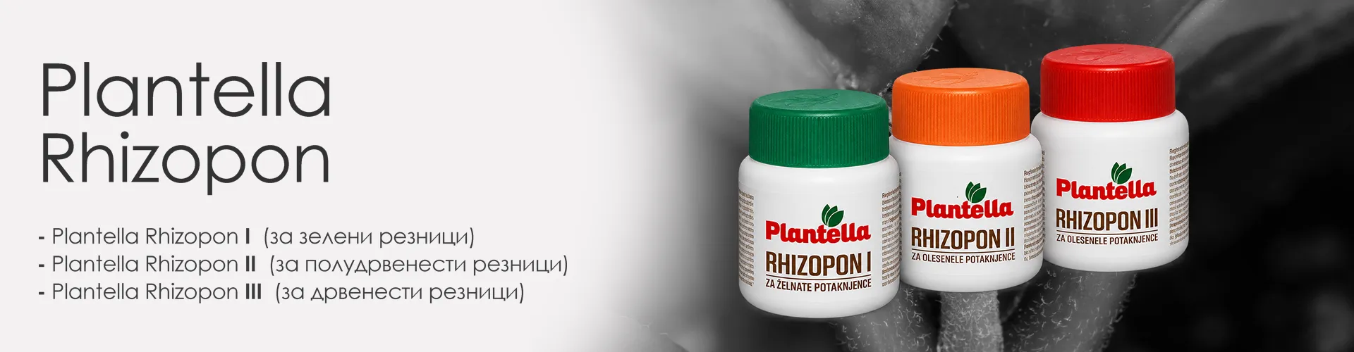 plantella-rhizopon